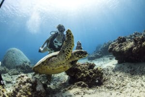 bali-diving-turtle-with-diver