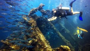 Bali Scuba - 5 Reasons to Go Diving in Tulamben