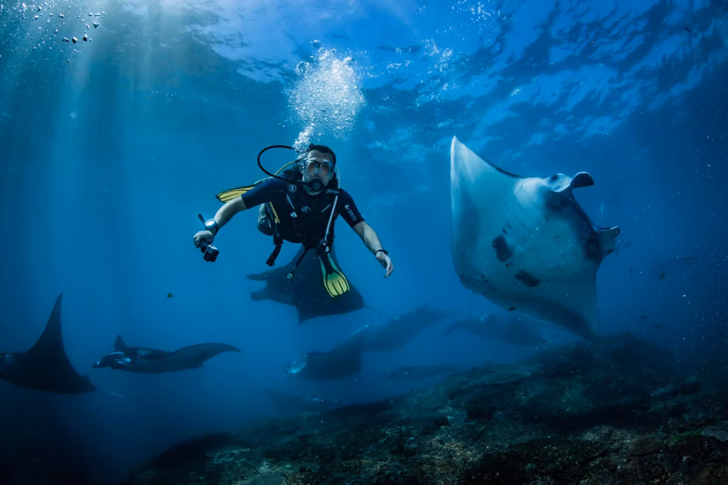 Bali Diving - Manta Point, Nusa Penida Dive Site