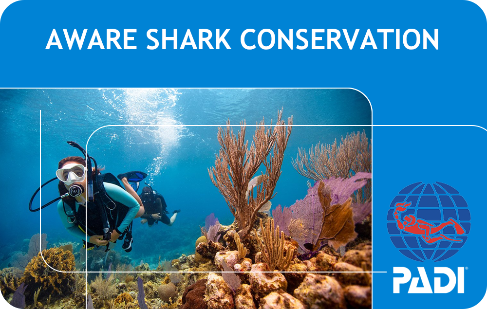 PADI AWARE Shark Conservation (Bali)