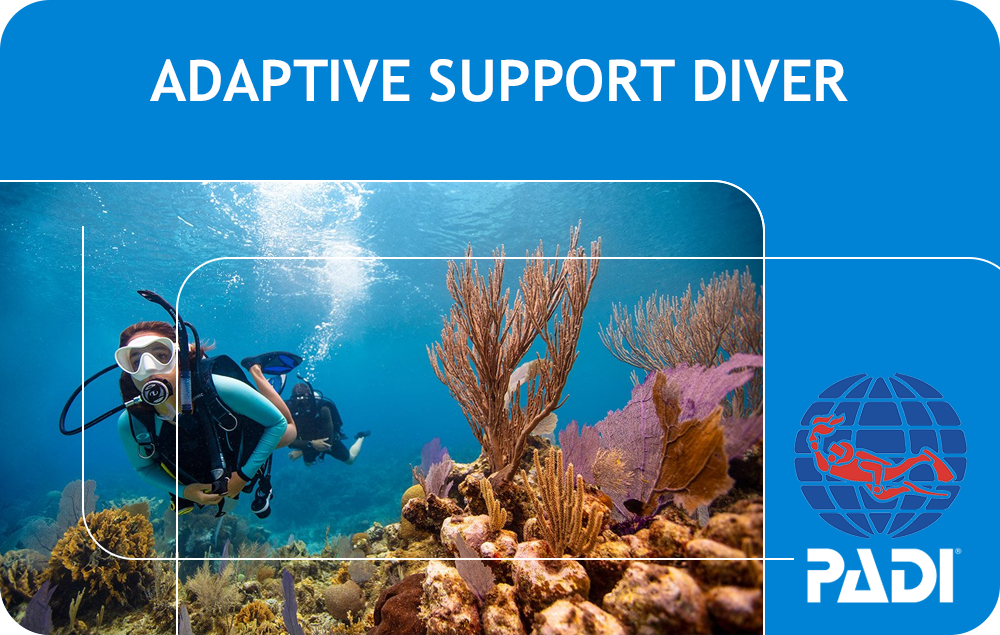 PADI Adaptive Support Diver (Bali)