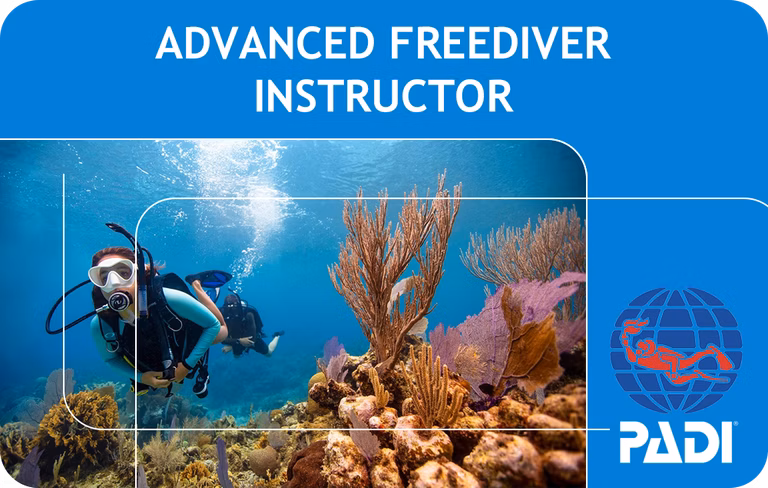 PADI Advanced Freediver Instructor (Bali)
