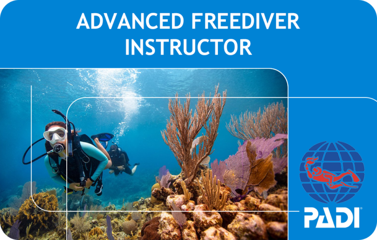 PADI Advanced Freediver Instructor (Bali)