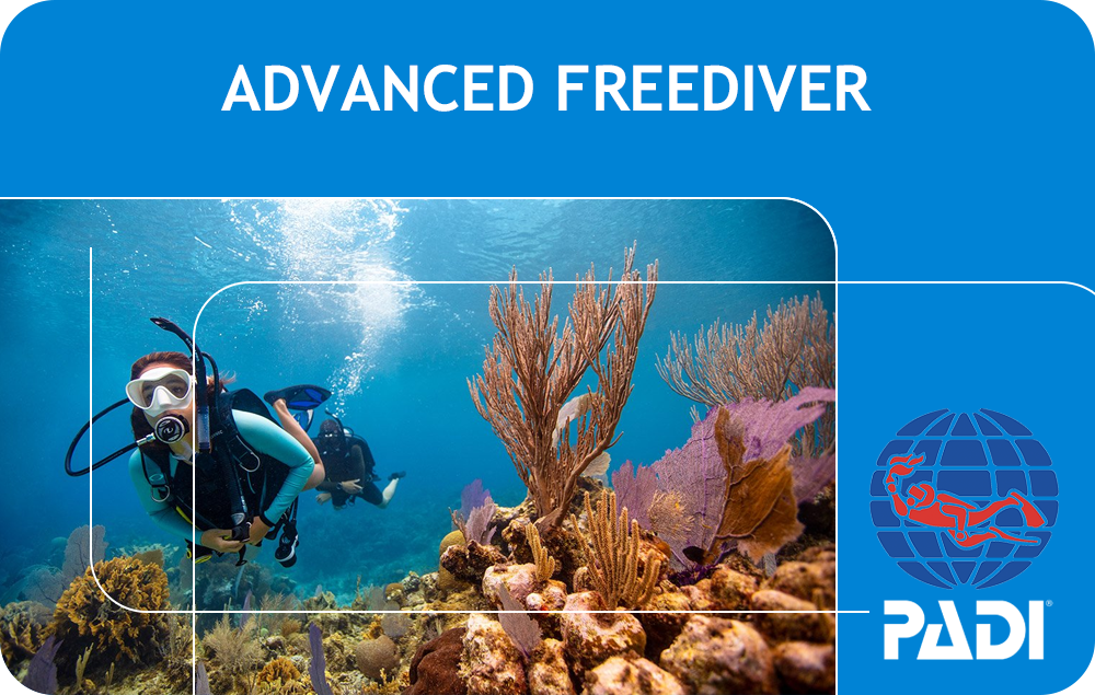PADI Advanced Freediver (Bali)