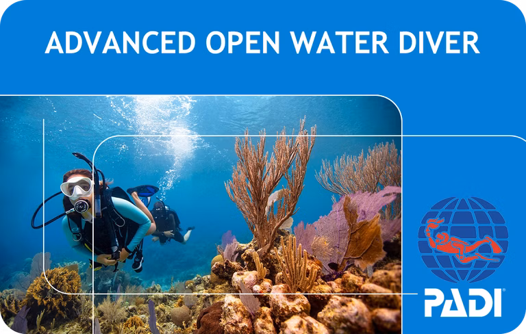PADI Advanced Open Water Diver (Bali)