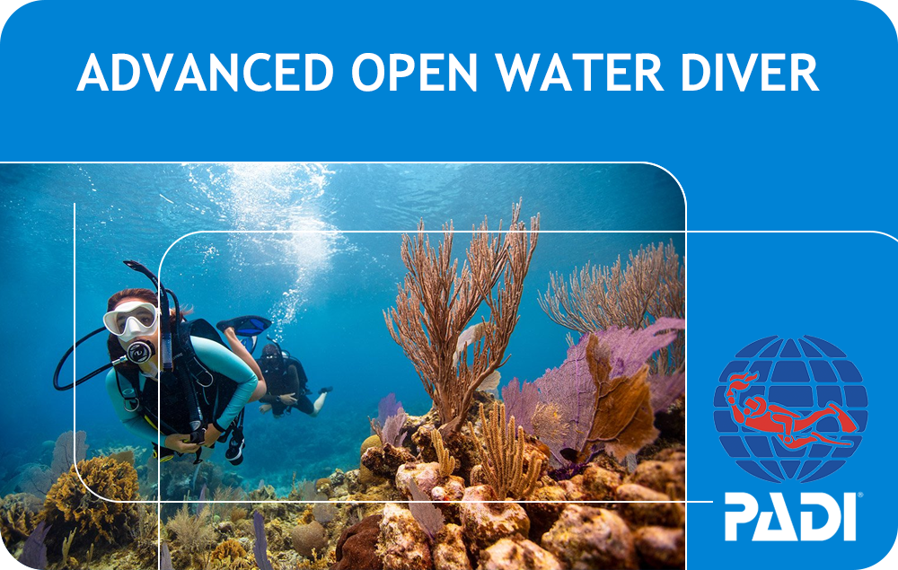 PADI Advanced Open Water Diver (Bali)