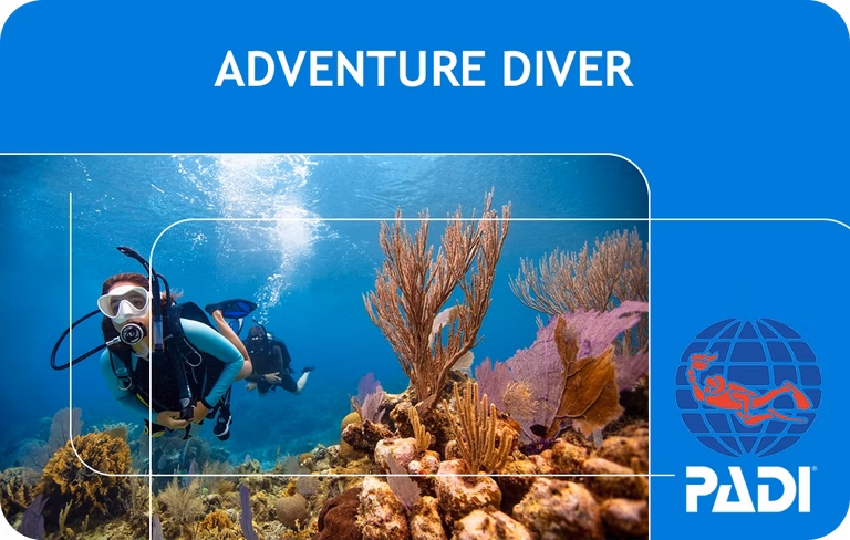 PADI Adventure Diver (Bali)