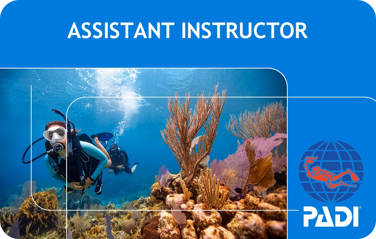 PADI Assistant Instructor (Bali)
