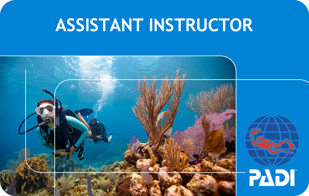 PADI Assistant Instructor (Bali)