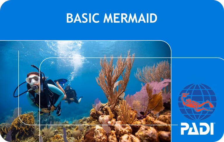 PADI Basic Mermaid Course (Bali)