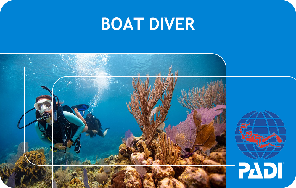 PADI Boat Diver (Bali)