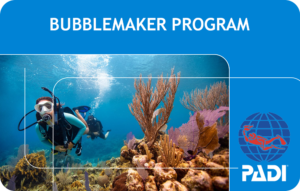 PADI Bubblemaker Program (Bali)