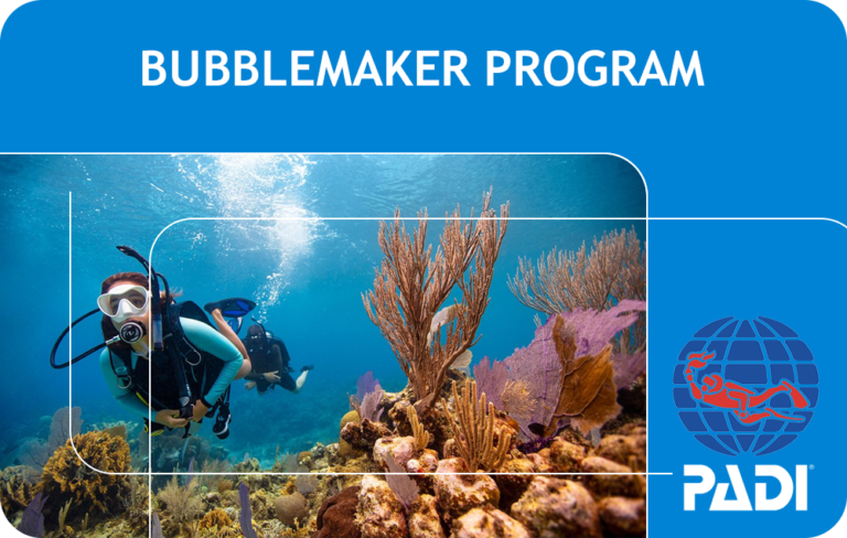 PADI Bubblemaker Program (Bali)