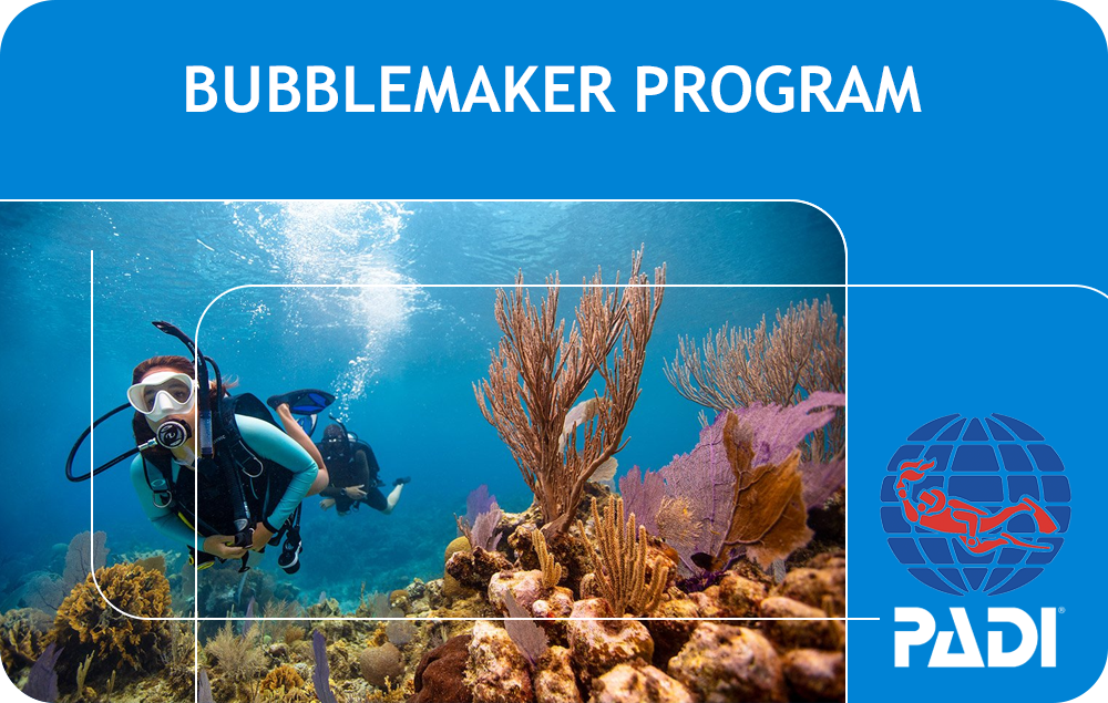 PADI Bubblemaker Program (Bali)