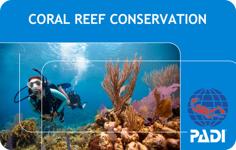 PADI Coral Reef Conservation (Bali)