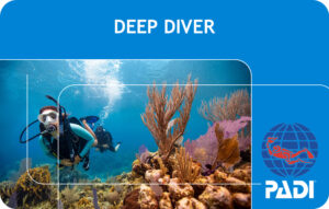 PADI Deep Diver Course (Bali)
