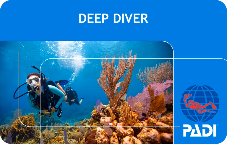 PADI Deep Diver Course (Bali)