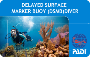 PADI Delayed Surface Marker Buoy (DSMB) Diver (Bali)