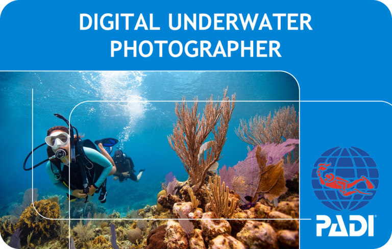 PADI Digital Underwater Photographer (Bali)