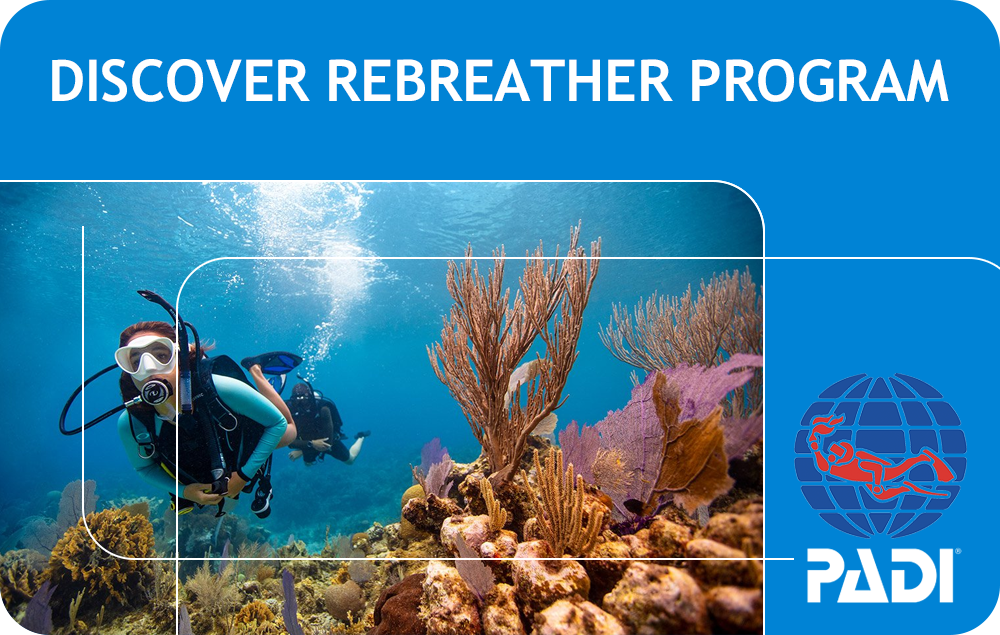 PADI Discover Rebreather Program (Bali)