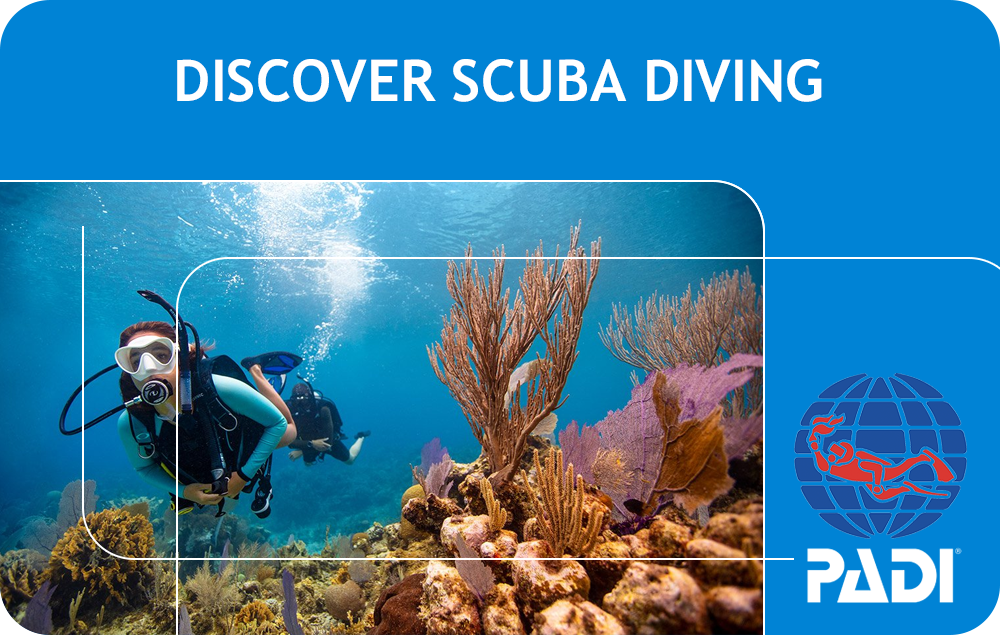 PADI Discover Scuba Diving (Bali)