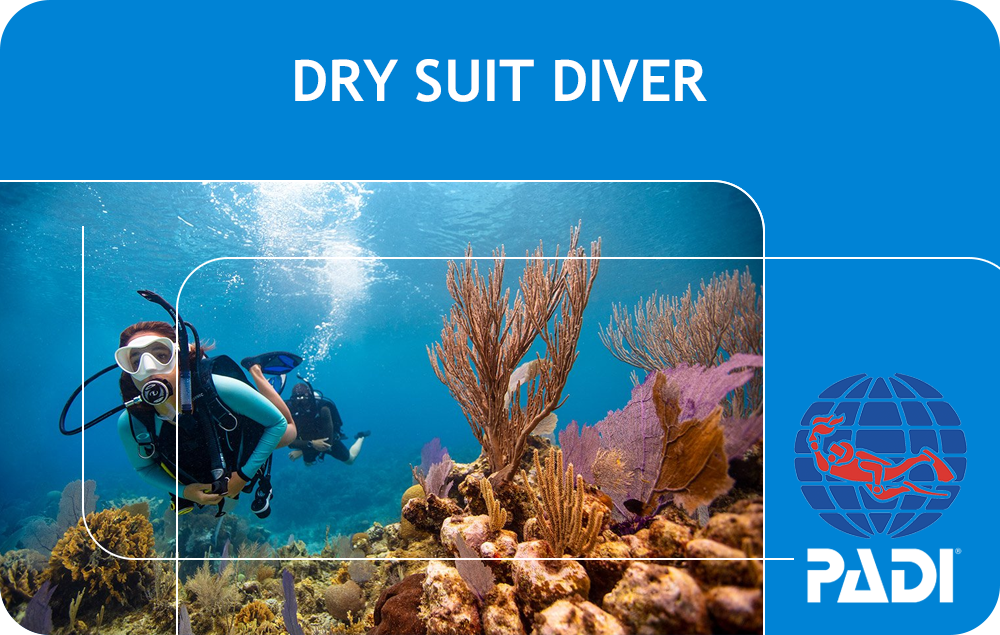 PADI Dry Suit Diver (Bali)