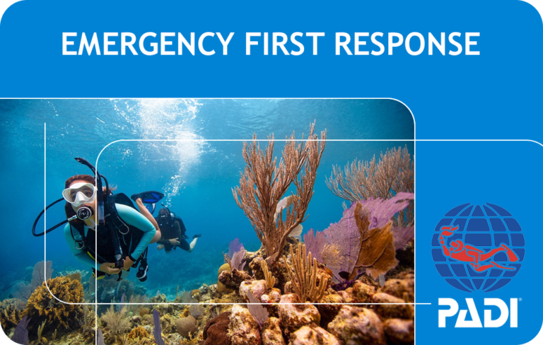 padi-emergency-first-response-bali-bali-dive-resort-pebble-fins