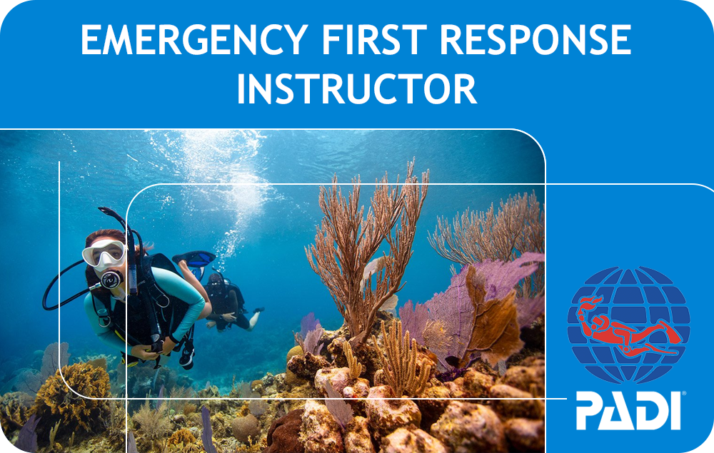 PADI Emergency First Response Instructor (Bali)