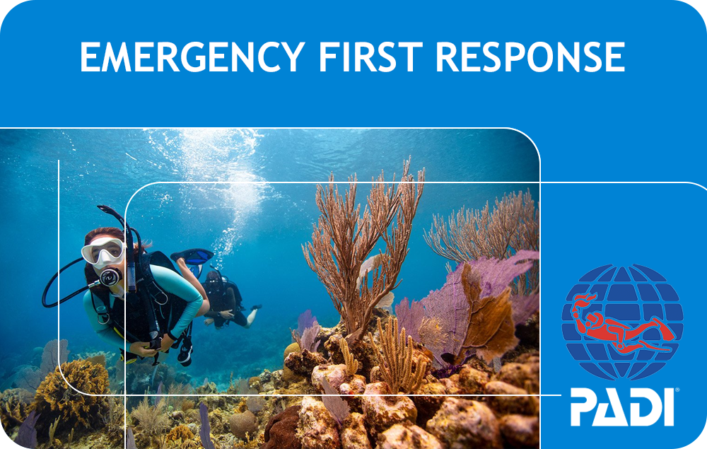 PADI Emergency First Response (Bali)
