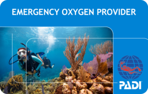 PADI Emergency Oxygen Provider (Bali)