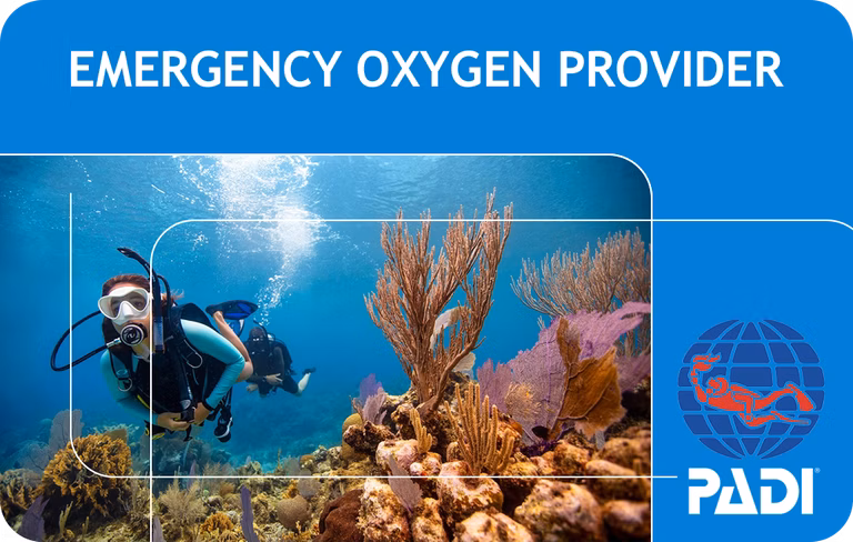 PADI Emergency Oxygen Provider (Bali)