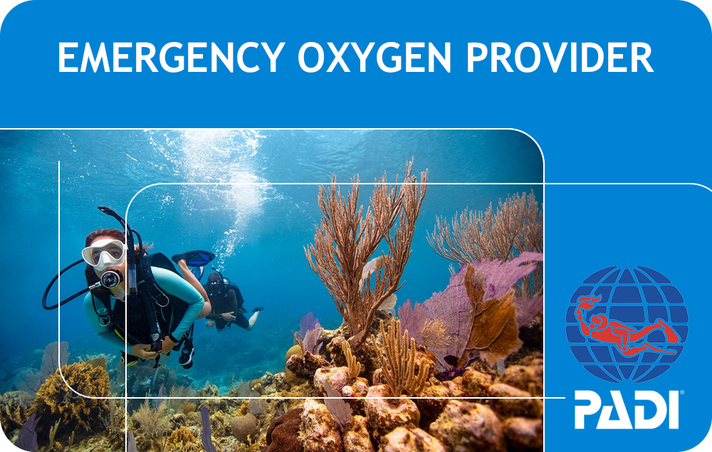 PADI Emergency Oxygen Provider (Bali)