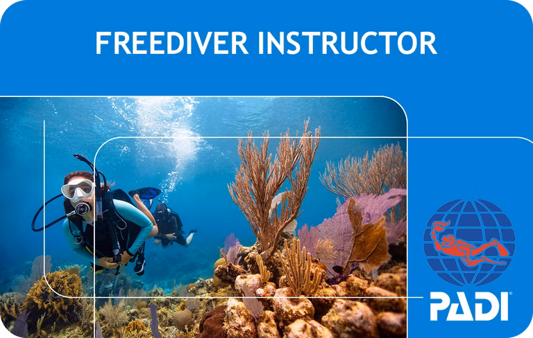 PADI Freediver Instructor (Bali)