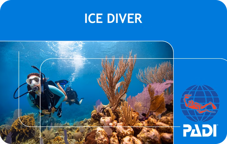 PADI Ice Diver (Bali)