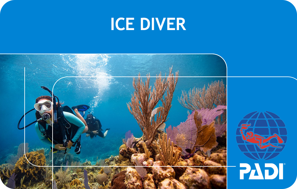 PADI Ice Diver (Bali)