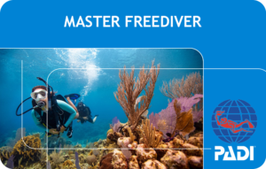 PADI Master Freediver (Bali)