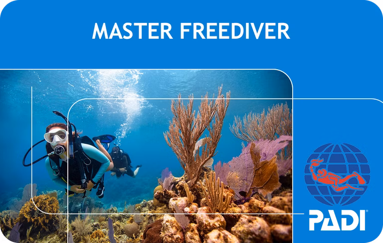 PADI Master Freediver (Bali)