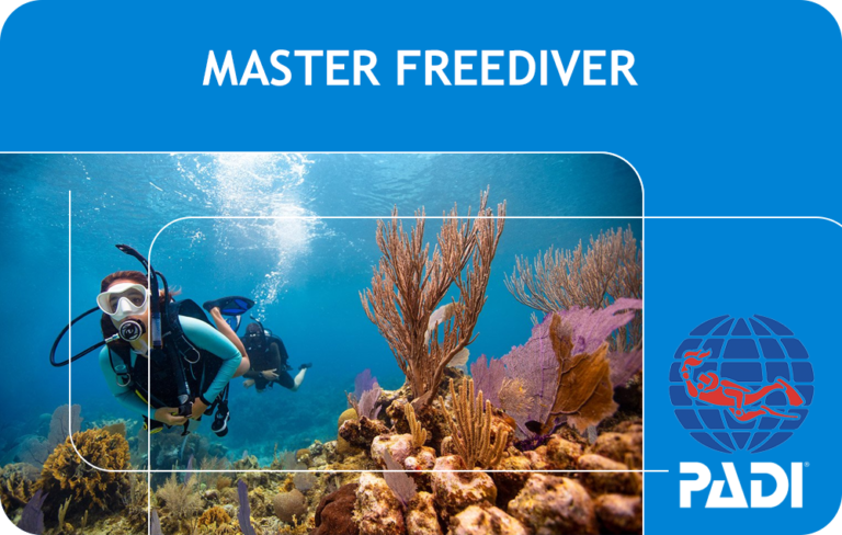 PADI Master Freediver (Bali)