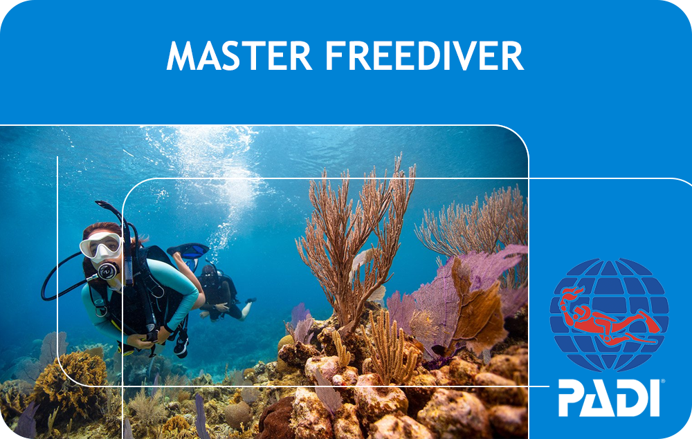 PADI Master Freediver (Bali)