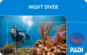 PADI Night Diver (Bali)