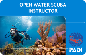 PADI Open Water Scuba Instructor (Bali)