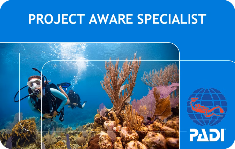 PADI Project AWARE Specialist (Bali)