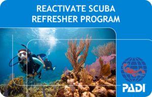PADI ReActivate Scuba Refresher Program (Bali)