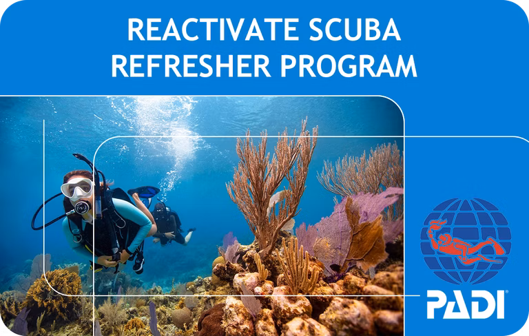 PADI ReActivate Scuba Refresher Program (Bali)