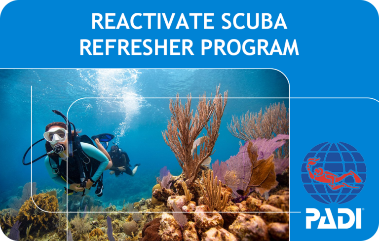 PADI ReActivate Scuba Refresher Program (Bali)