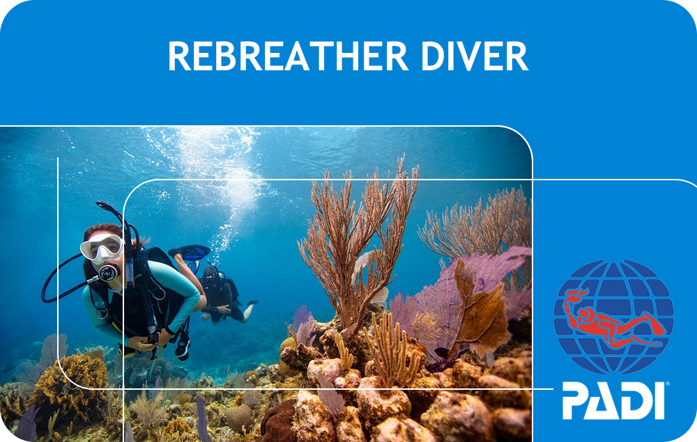 PADI Rebreather Diver (Bali)