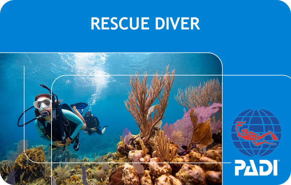 PADI Rescue Diver (Bali)