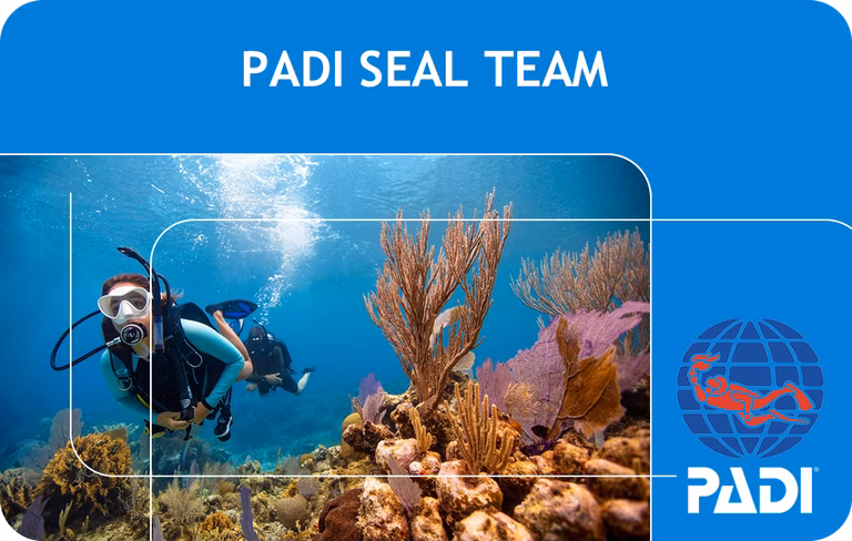 PADI Seal Team (Bali)