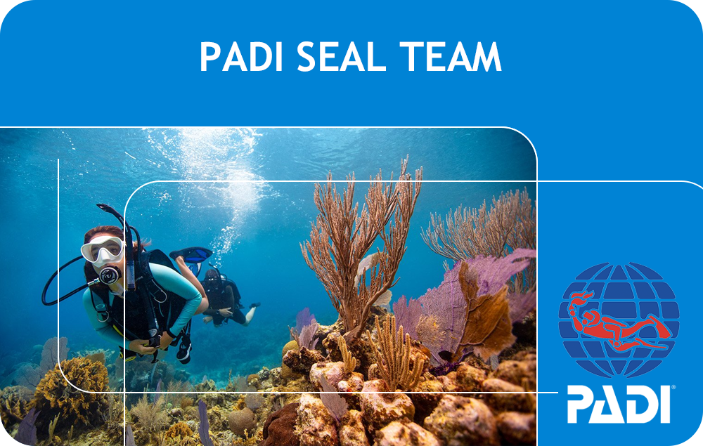 PADI Seal Team (Bali)