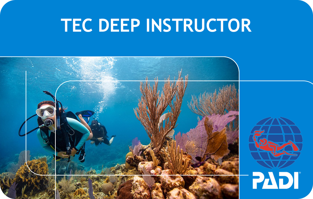 PADI Tec Deep Instructor (Bali)